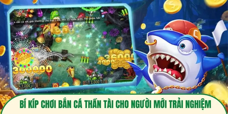 Bí kíp chơi bắn cá thần tài cho người mới trải nghiệm