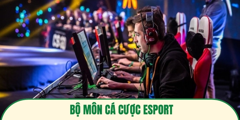 Bộ môn cá cược Esport