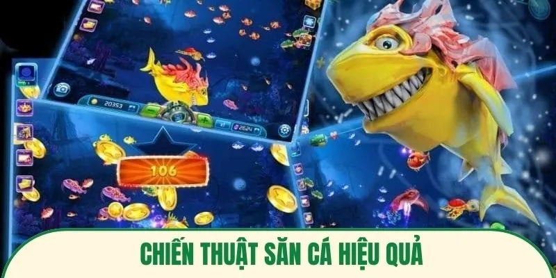 chiến thuật săn cá hiệu quả