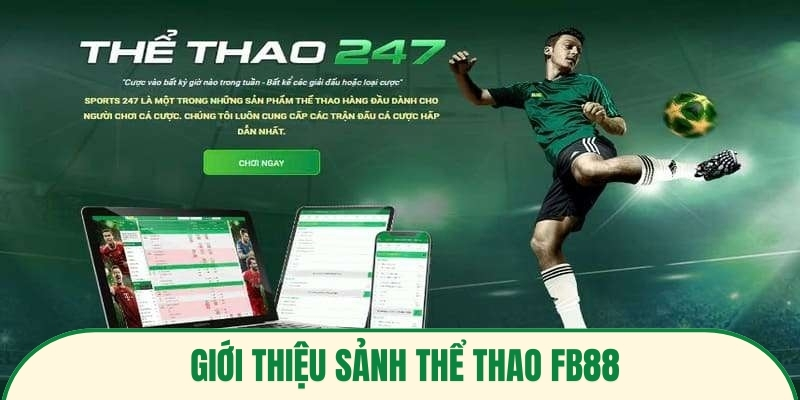 Giới thiệu sảnh thể thao FB88