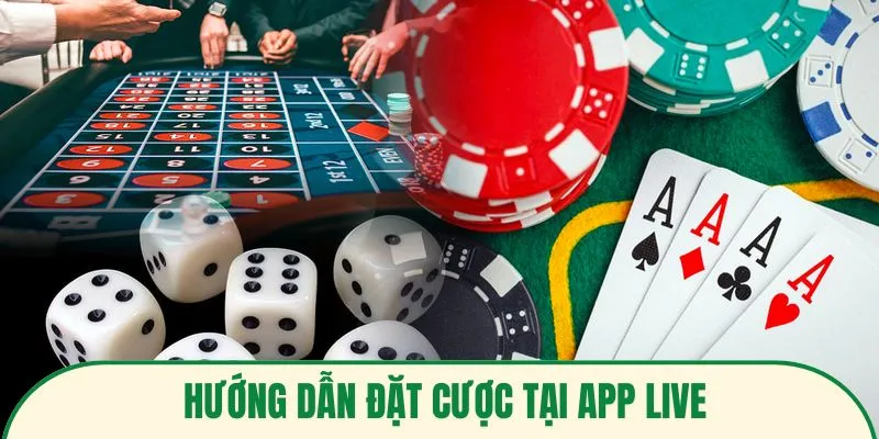 Quy trình đặt cược tại ứng dụng