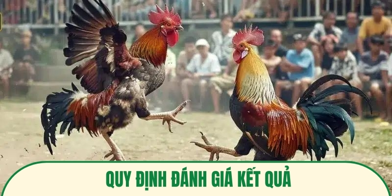Quy định đánh giá kết quả